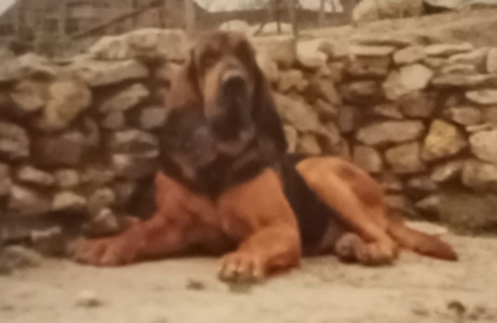 Gaspard (Sans Affixe)