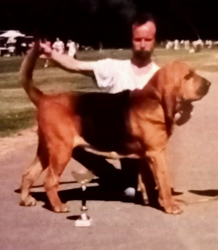 Hortence (Sans Affixe)